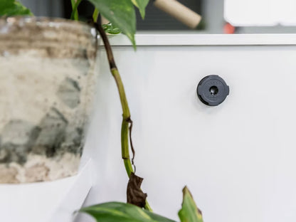 Quad Lock Adhesive Wall Mount - Twin Pack